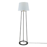 Borris Elegant Floor Lamp in Matte Black and Polished Brass Finish