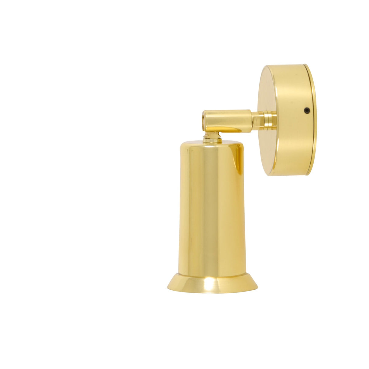 Jasper Antique Brass Adjustable Wall Light