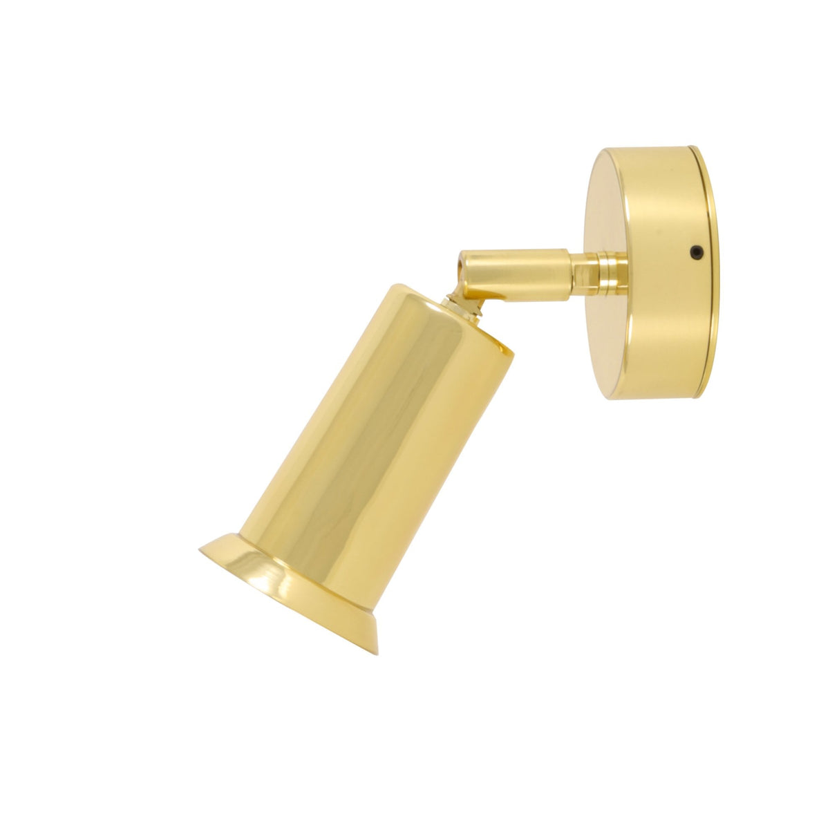 Jasper Antique Brass Adjustable Wall Light