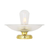 Antique Brass Gal Ceiling Light with Holophane Glass Shade