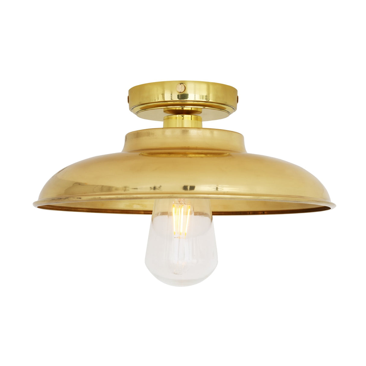 Darya Industrial Ceiling Light in Antique Brass and Clear Glass