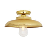 Darya Industrial Ceiling Light in Antique Brass and Clear Glass