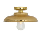 Darya Industrial Ceiling Light in Antique Brass and Clear Glass