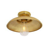 Darya Industrial Ceiling Light in Antique Brass and Clear Glass