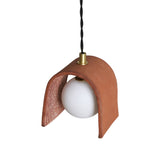 Red Clay Tansy Pendant Light with Antique Brass Accents