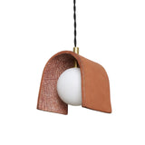 Red Clay Tansy Pendant Light with Antique Brass Accents