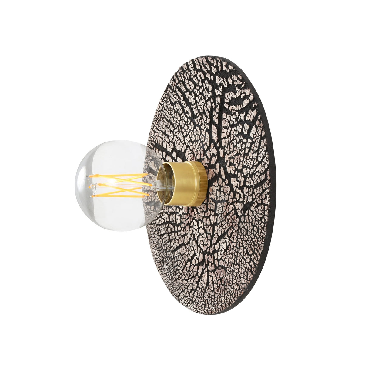 Bog Oak Wall Sconce in Black Clay with Antique Brass Accents