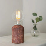 Rustic Bixa Table Lamp - Industrial Red Iron & Antique Brass