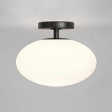 Matte Black Zeppo Ceiling Light Fixture