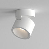 Sleek Matt White Lynx Ceiling Light
