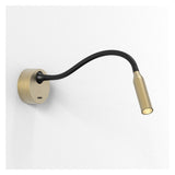 Lucca Matte Gold LED Surface Light