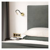 Lucca Matte Gold LED Surface Light