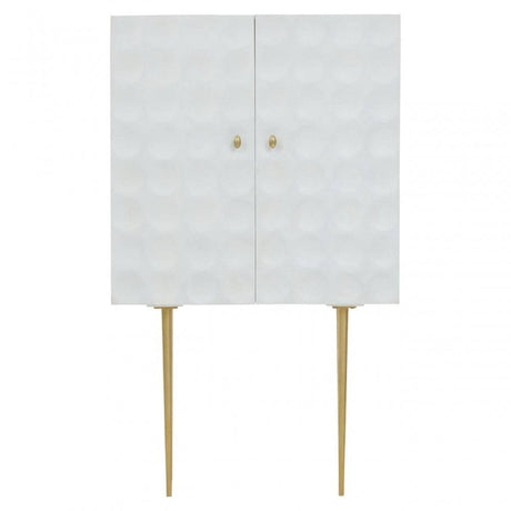 Satara Two Door Cabinet