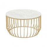 Pali White Marble Coffee Table With Gold Base