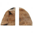 Relic Set Of 2 Petrified Wood Bookends