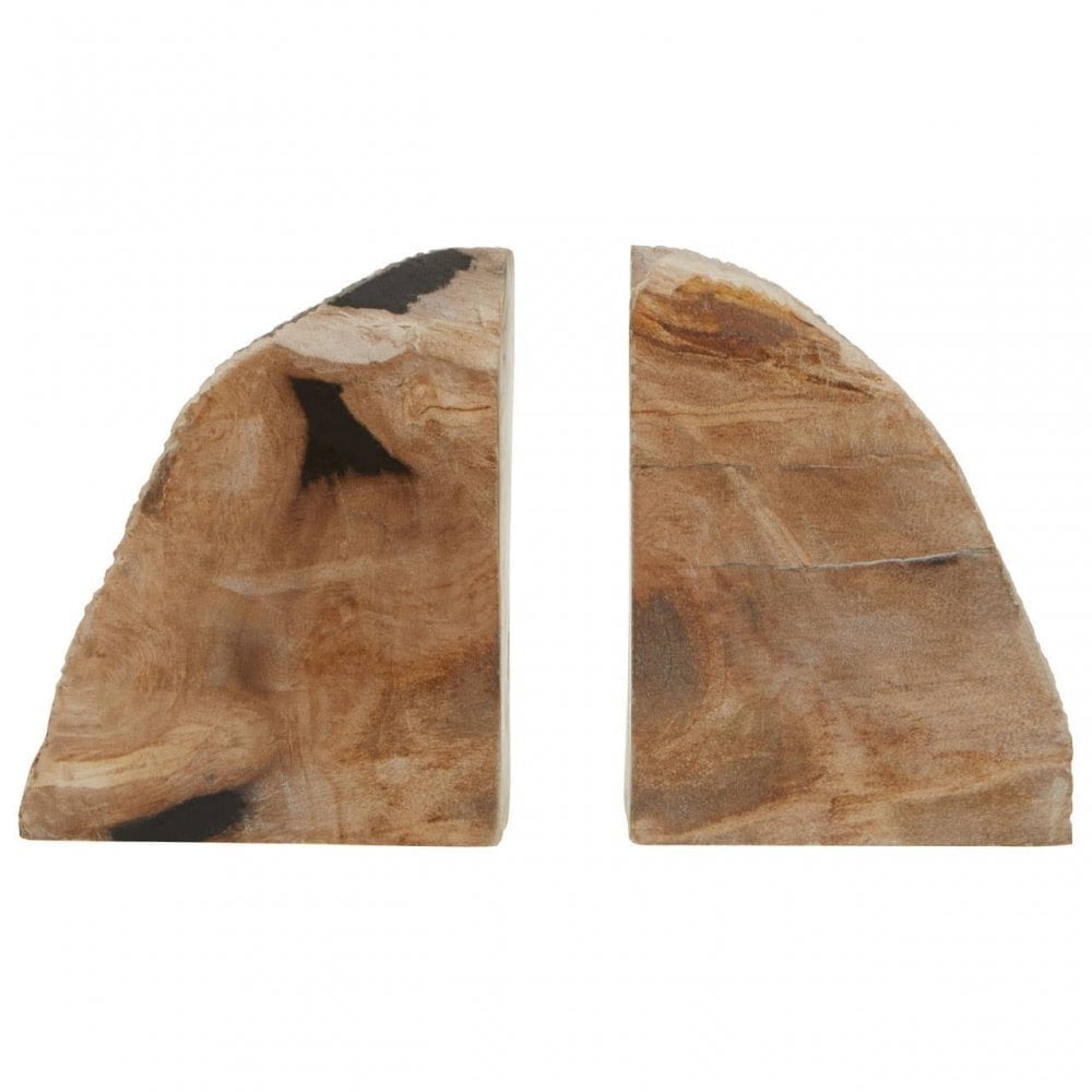 Relic Set Of 2 Petrified Wood Bookends