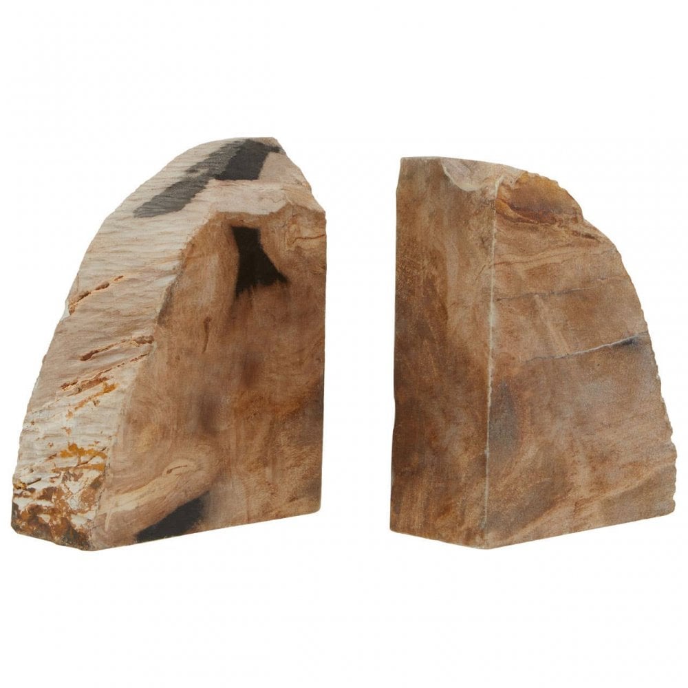 Relic Set Of 2 Petrified Wood Bookends