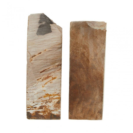 Relic Set Of 2 Petrified Wood Bookends