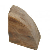 Relic Set Of 2 Petrified Wood Bookends