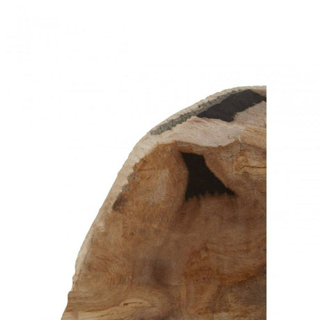 Relic Set Of 2 Petrified Wood Bookends