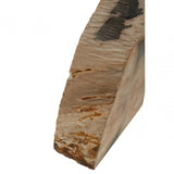 Relic Set Of 2 Petrified Wood Bookends