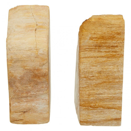 Relic Set Of 2 Bookends