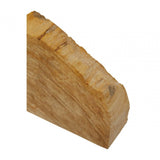 Relic Set Of 2 Bookends