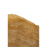 Relic Set Of 2 Bookends