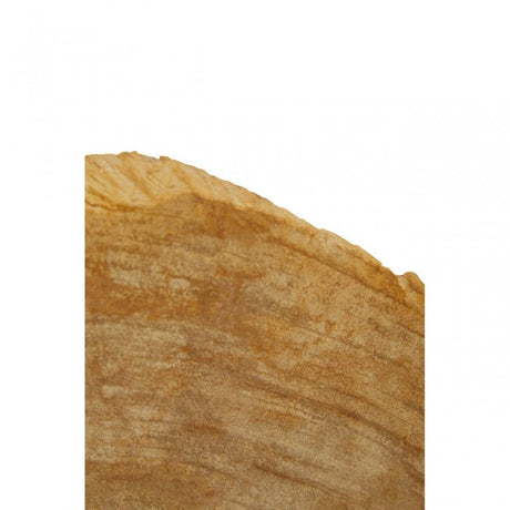 Relic Set Of 2 Bookends