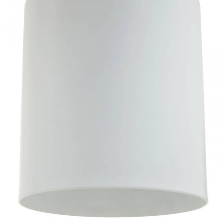 Newton White Shade Desk Lamp