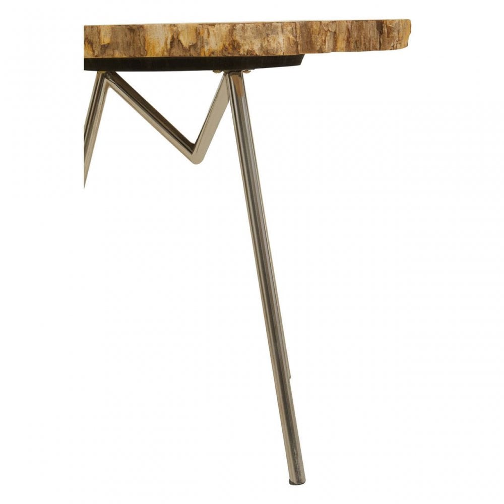 Relic Large Petrified Wood Side Table