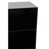 Kochi Cabinet