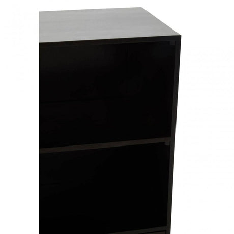 Kochi Cabinet