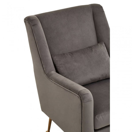 Doucet Grey Velvet Chair With Gold Finish Legs