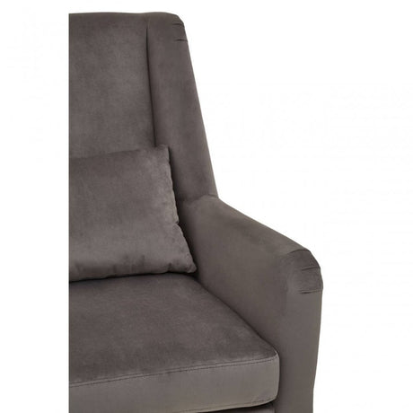 Doucet Grey Velvet Chair With Gold Finish Legs