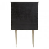 Sirsa Two Door Cabinet