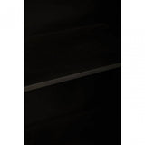 Sirsa Two Door Cabinet