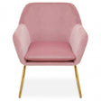 Xander Pink Velvet Powder Gold Armchair