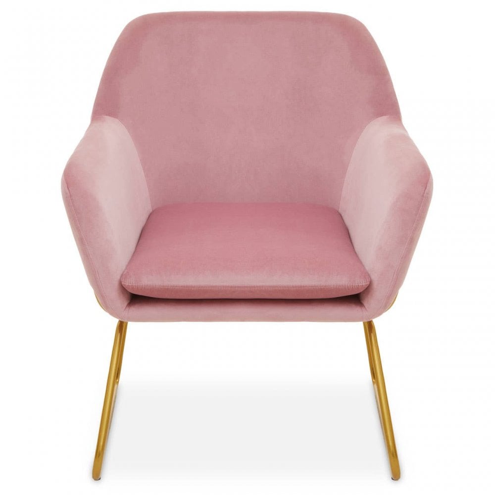 Xander Pink Velvet Powder Gold Armchair