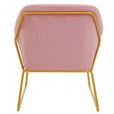 Xander Pink Velvet Powder Gold Armchair