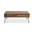 Flori Coffee Table