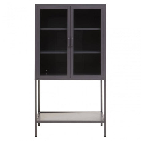 Acier Two Door Grey Cabinet  With Shelf