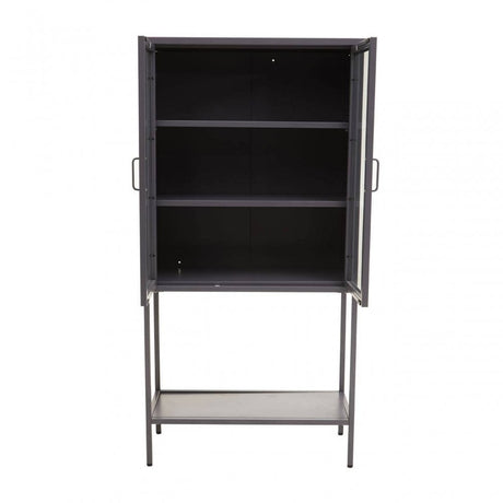 Acier Two Door Grey Cabinet  With Shelf