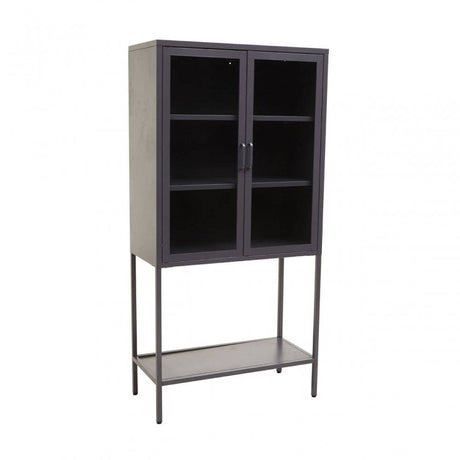 Acier Two Door Grey Cabinet  With Shelf