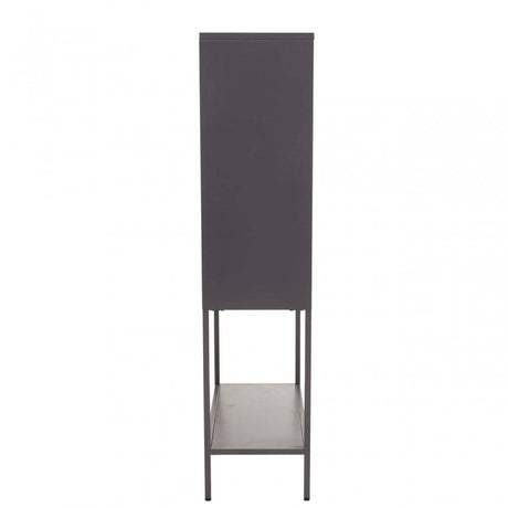 Acier Two Door Grey Cabinet  With Shelf