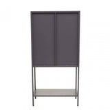 Acier Two Door Grey Cabinet  With Shelf