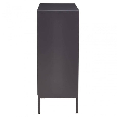 Acier Two Door Grey Cabinet