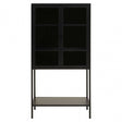Acier Two Door Black Cabinet  With Shelf
