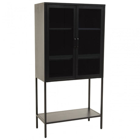 Acier Two Door Black Cabinet  With Shelf