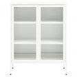 Acier Two Door White  Cabinet